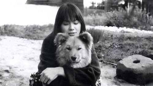 生まれた場所 Bild 5