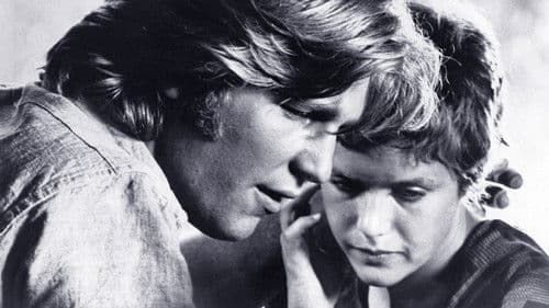 Lolly-Madonna XXX Bild 3