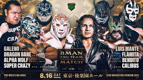 NOAH Star Navigation Premium 2025 #4 Bild 4