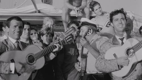 Les chiens dans la nuit Bild 6