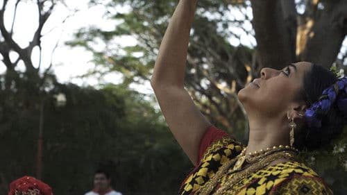 El Son del Chile Frito Bild 8