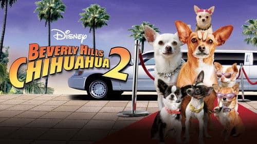Beverly Hills Chihuahua 2 Bild 3