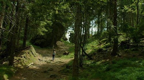 Wieża. Jasny dzień. Bild 3