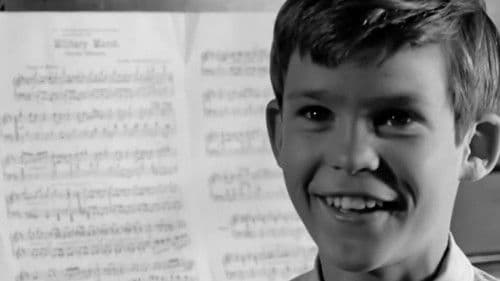 Cornet at Night Bild 8