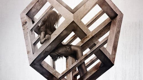 PET: Wenn du etwas liebst, lass es nicht los Bild 8