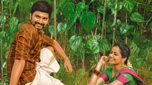 பட்டத்து அரசன் Bild 7