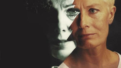 Was geschah wirklich mit Baby Jane? Bild 6