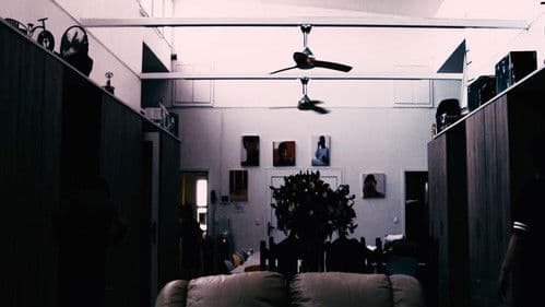 γέννημα θρέμμα Δεντροπόταμος Bild 3