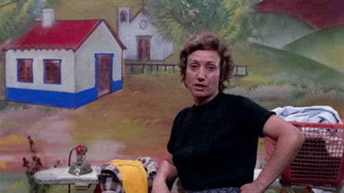 Brandos Costumes Bild 3