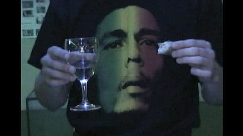 відеокамера sony dcr-trv265e digital8 Bild 4