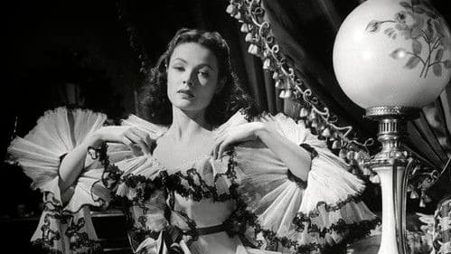 Weisser Oleander Bild 6