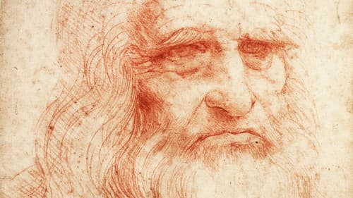 Leonardo Cinquecento Bild 1