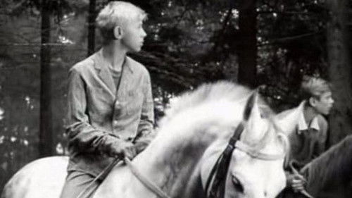 Всадники Bild 1