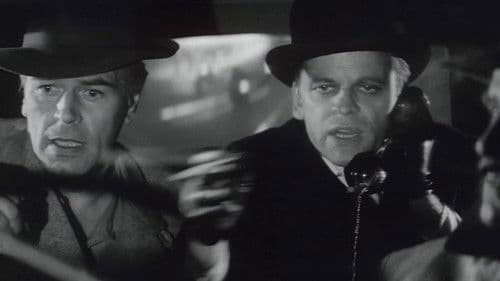 Das Geheimnis der schwarzen Witwe Bild 4