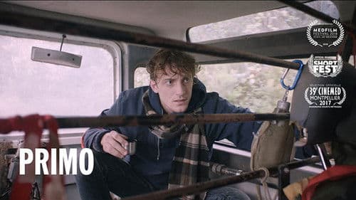 Primo Bild 1