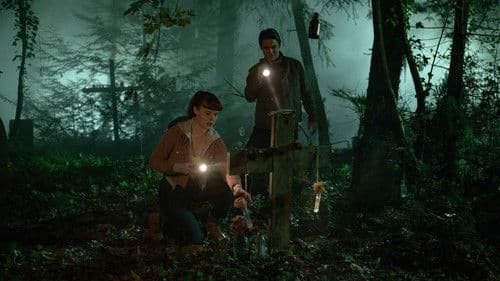 V.C. Andrews' Hidden Jewel Bild 5