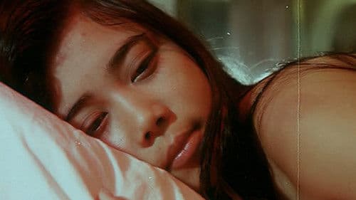 เทพธิดาโรงแรม Bild 2