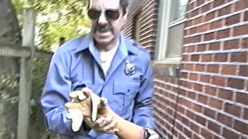 The Boy's Night Out Bild 5