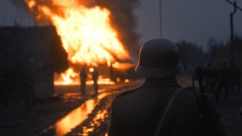 Das Licht in den Birkenwäldern Bild 3