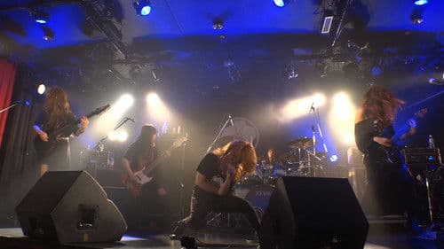 NEMOPHILA Soko to Koko Bild 1