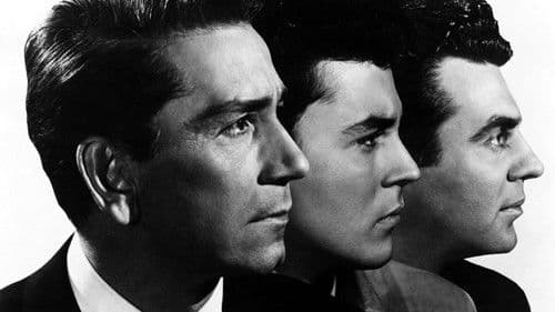 Hyänen der Straße Bild 7