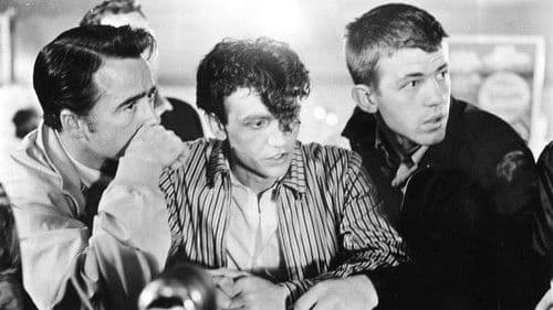 The Cool and the Crazy Bild 2