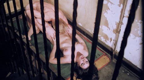 6 Schwedinnen hinter Gittern Bild 2