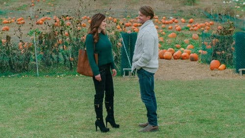 Home for Harvest Bild 3