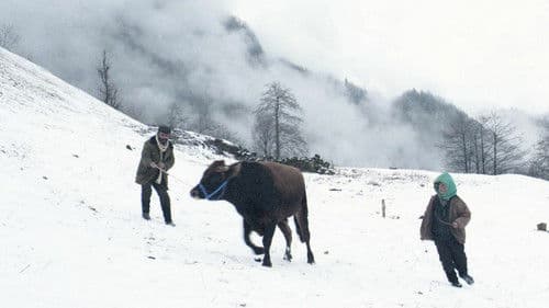 Kalandar Soğuğu Bild 1