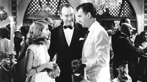 Begegnung in Tunis Bild 3