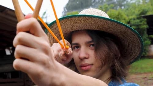 Frangos Mortos Bild 3