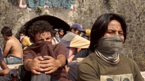 Der Goldene Käfig Bild 1