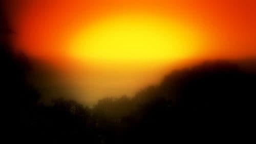 The Killer Citrus - Wenn die Zitrone sauer wird Bild 1