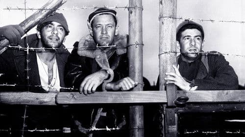 Stalag 17 Bild 8
