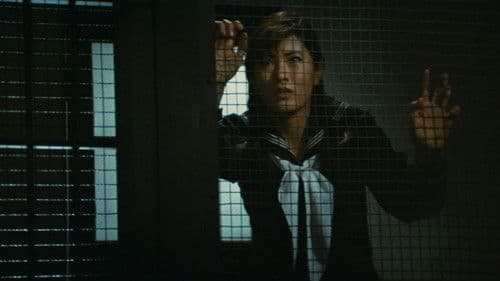 華麗なる追跡 Bild 1