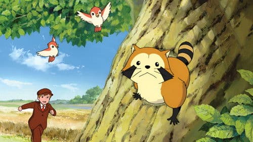 Rascal, der Waschbär Bild 4