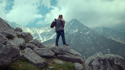 Googly Gumm Hai Bild 1