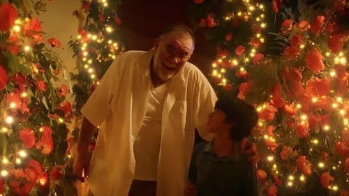 En la Quietud de la Noche Bild 1