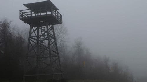 The Village - Das Dorf Bild 3