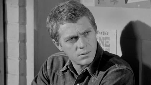 Die Lady und der Tramp Bild 6