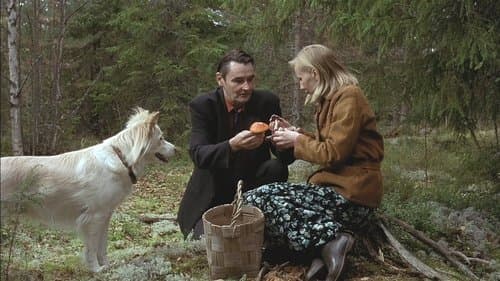 Der Mann ohne Vergangenheit Bild 1