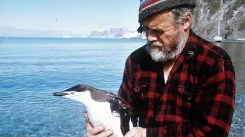 Following Seas Bild 1