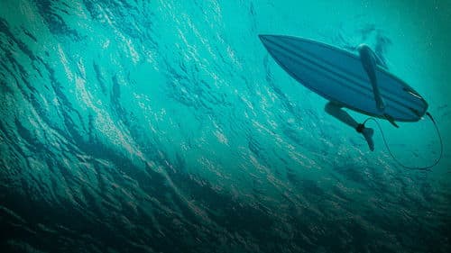 The Shallows: Gefahr aus der Tiefe Bild 3