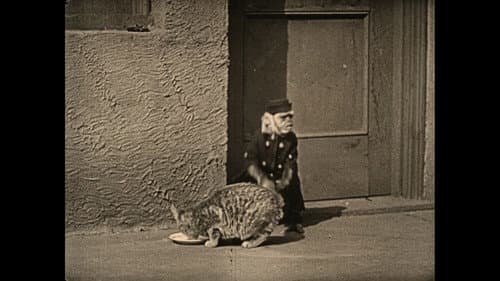 Wonder Dogs! Canine Stars of the Silent Era (1898-1928) Bild 4