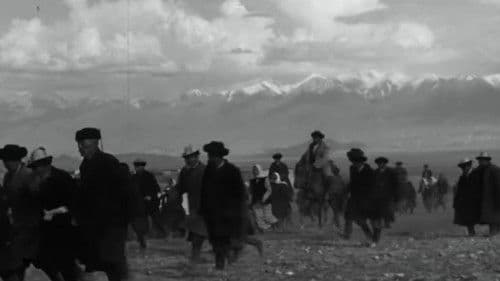 Материнское поле Bild 1