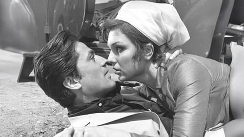 Yakut Gözlü Kedi Bild 2