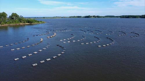 Maryland Farm & Harvest Bild 6