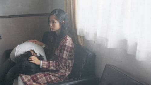 サッド ヴァケイション Bild 1