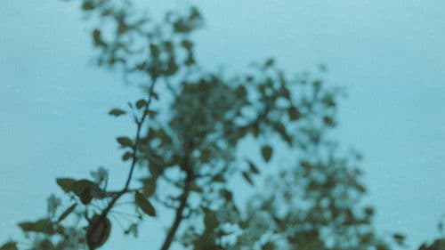 Ideal and reality Bild 1