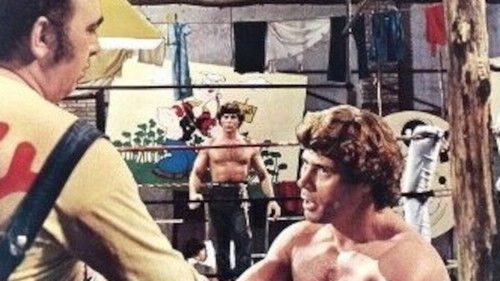 Pugni dollari e spinaci Bild 1